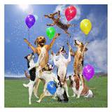 Dogs partying Art by  Lund-Roeser
