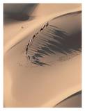 Camel Caravan in the Sahara Desert, Mauritania Posters par Yann Arthus-Bertrand