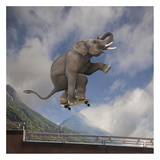 Elephant skateboarding Kunstdrucke von  Lund-Roeser