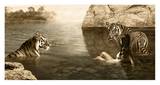 Embracing Beauty Prints by Marc Moreau