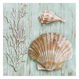 Bretagne I Prints by Ted Broome