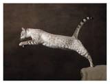 Snow Chocolate Spotted Tabby Bengal Cat Posters par Yann Arthus-Bertrand
