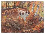 Freeze Before Flight - Brittany Spaniel Pósters por Tom Beecham Freeze Before Flight - Brittany Spaniel Pósters por Tom Beecham