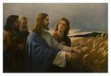 Christ Going Through the Wheat Prints by Joseph Untersberger