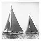 Sailboats in the America's Cup, 1934 Posters by Edwin Levick