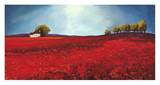 Field of poppies Posters by Philip Bloom