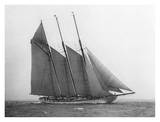 The Schooner Karina at Sail, 1919 Prints by Edwin Levick