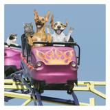Riding on Roller Coaster Prints by John Lund