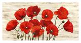 French Poppies Prints by Serena Biffi