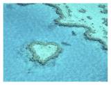 Heart Island, Australia Print by Yann Arthus-Bertrand