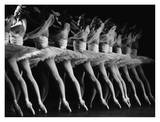 Royal Ballet Dancers in La Bayadere Plakater af Robbie Jack