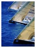 Sailing race, Miami Prints by Sharon Green