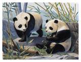Pandas Print by Keith Freeman