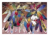 Ritual: Feathered Shields Print by David Manje
