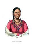 Hayne Hudjihini, or Eagle of Delight Giclee Print by Charles Bird King