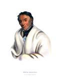 Metakoosega ('Pure Tobacco'), a Chippeway Warrior Giclee Print by Charles Bird King