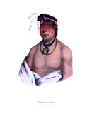 Weshcubb ('the Sweet'), a Chippeway Chief Giclee Print by Charles Bird King