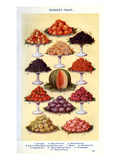 Mrs Beeton's Cookery Book - Dessert Fruit Giclee Print
