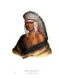 Petalesharro Giclee Print by Charles Bird King