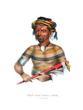 Shauhaunapotinia ('the Man Who Killed Three Sioux') Giclee Print by Charles Bird King