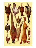 Mrs Beeton's Cookery Book - Game Giclee Print