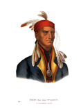 Shingaba W'Ossin ('Image Stone'), a Chippeway Chief Giclee Print by Charles Bird King