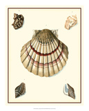Studies in Symmetry III Prints by M. Knorr