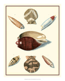 Studies in Symmetry VI Posters by M. Knorr