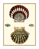 Studies in Symmetry IV Posters by M. Knorr