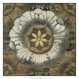 Rosette Detail II Posters