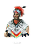 Wapella Giclee Print by Charles Bird King