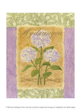 Sweet Hydrangea Posters by Louise Max