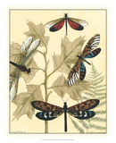 Graphic Dragonflies in Nature I Affiches par Megan Meagher