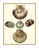 Studies in Symmetry V Prints by M. Knorr