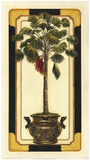 Peaceful Palm II Posters by Deborah Bookman