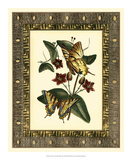 Leather Framed Butterflies I Prints by Deborah Bookman