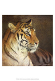 Tiger Poster von Chris Vest