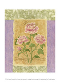 Sweet Peony Prints by Louise Max