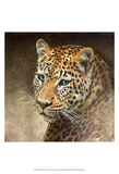 Leopard Prints by Chris Vest