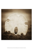 More Than a Dollar's Worth Art by Ryan Hartson-Weddle