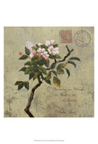 Postage I Prints by Rick Novak