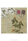 Postage II Print by Rick Novak