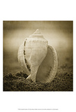 A Suitable Dwelling Posters by Ryan Hartson-Weddle