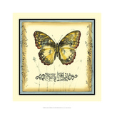 Butterfly and Wildflowers II Print by Jennifer Goldberger