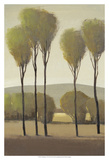 Tall Birches II Poster by Tim O'toole