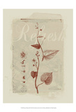 Botanical Respite III Art by Ken Hurd