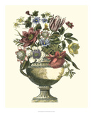Floral Splendor II Kunstdrucke von Giovanni Piranesi