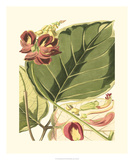 Fantastical Botanical I Posters
