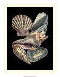 Treasures of the Sea II Posters by Pierre-Joseph Redouté