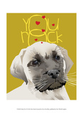 Frisky Pet X Poster by Ken Hurd